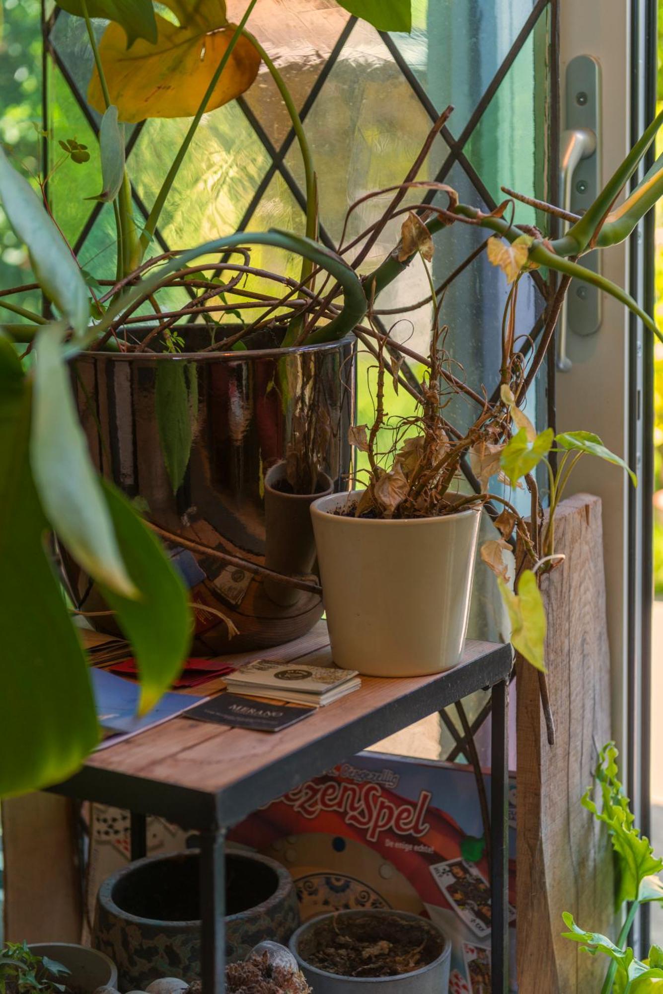 Tiny House - Leenfietsen, Eigen Keuken En Badkamer Nijmegen Bagian luar foto